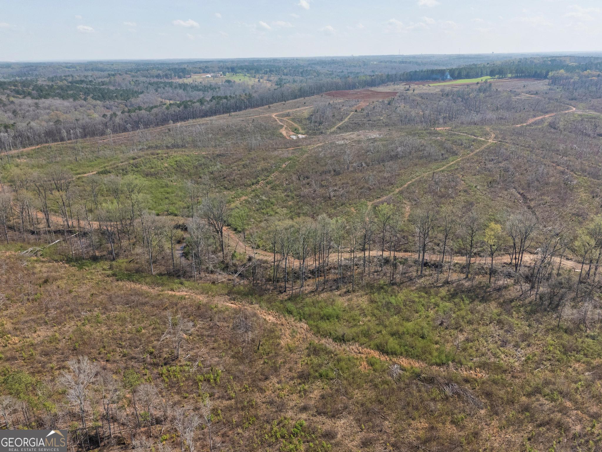 449 McMullen Road Forsyth, GA 31029 - Photo 6 of 26