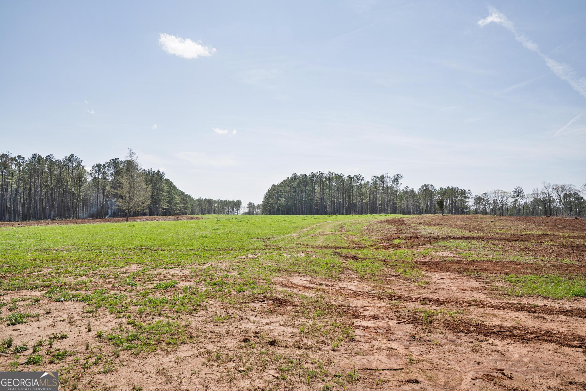 449 McMullen Road Forsyth, GA 31029 - Photo 7 of 26