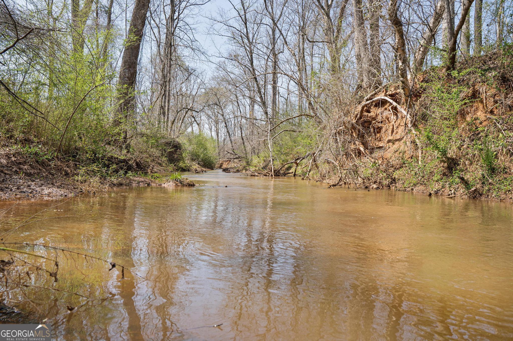 449 McMullen Road Forsyth, GA 31029 - Photo 9 of 26