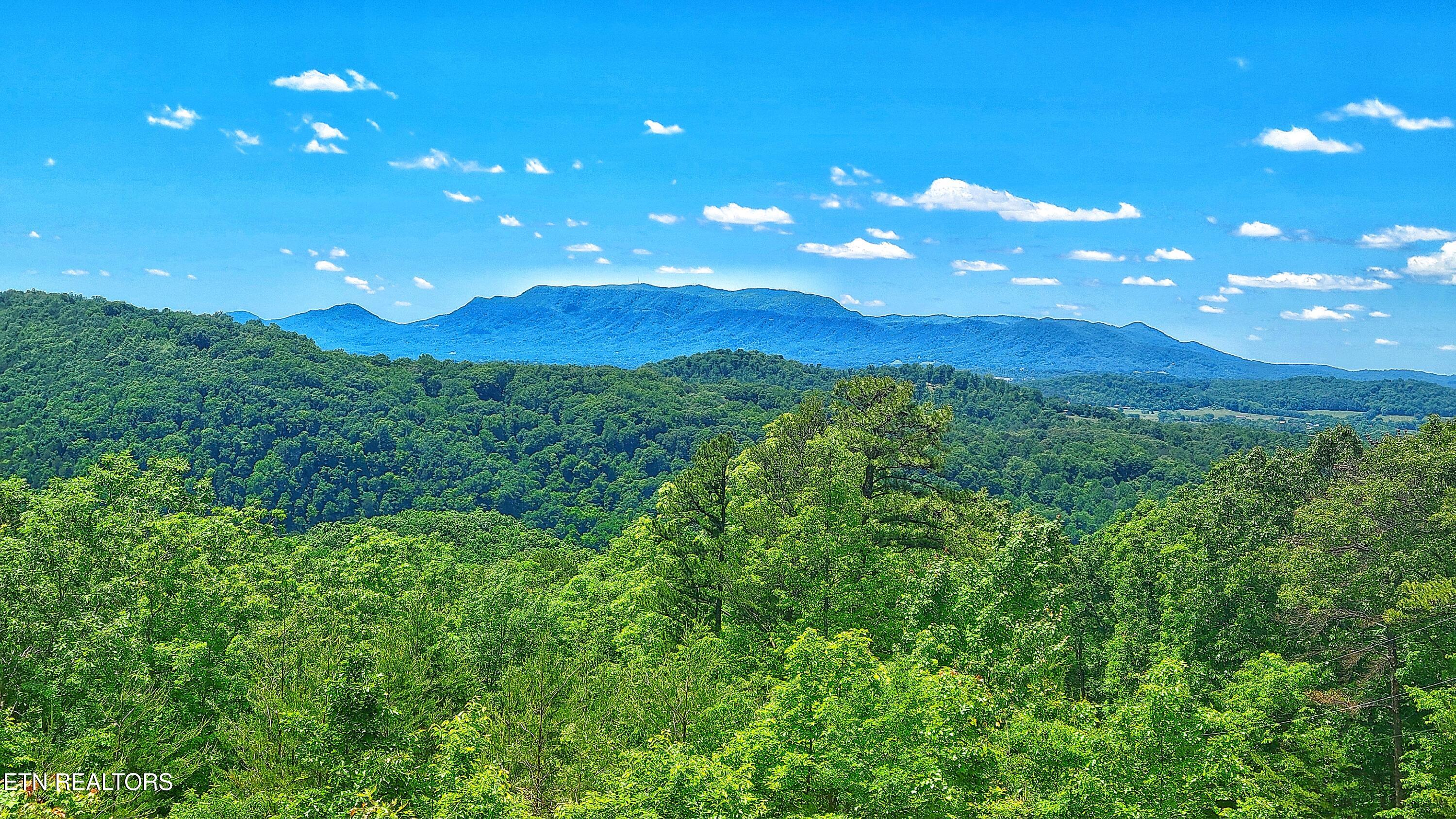 264 Curry Way Del Rio, TN 37727 - Photo 5 of 40 EXPANSIVE MOUNTAIN VIEWS