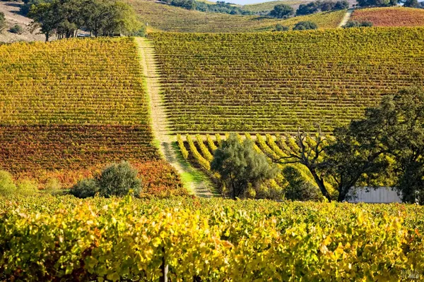 $3,900,000 | 2399 Sobre Vista Road, Sonoma, CA 95476