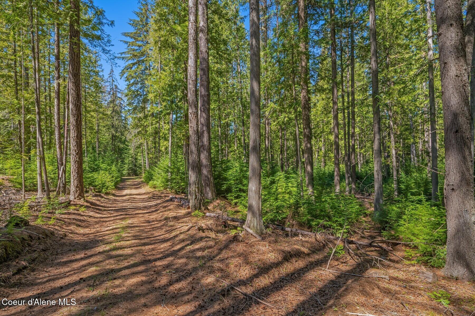 Nna Bottle Bay Road Sagle, ID 83860 - Photo 12 of 41 It's Own Eco System