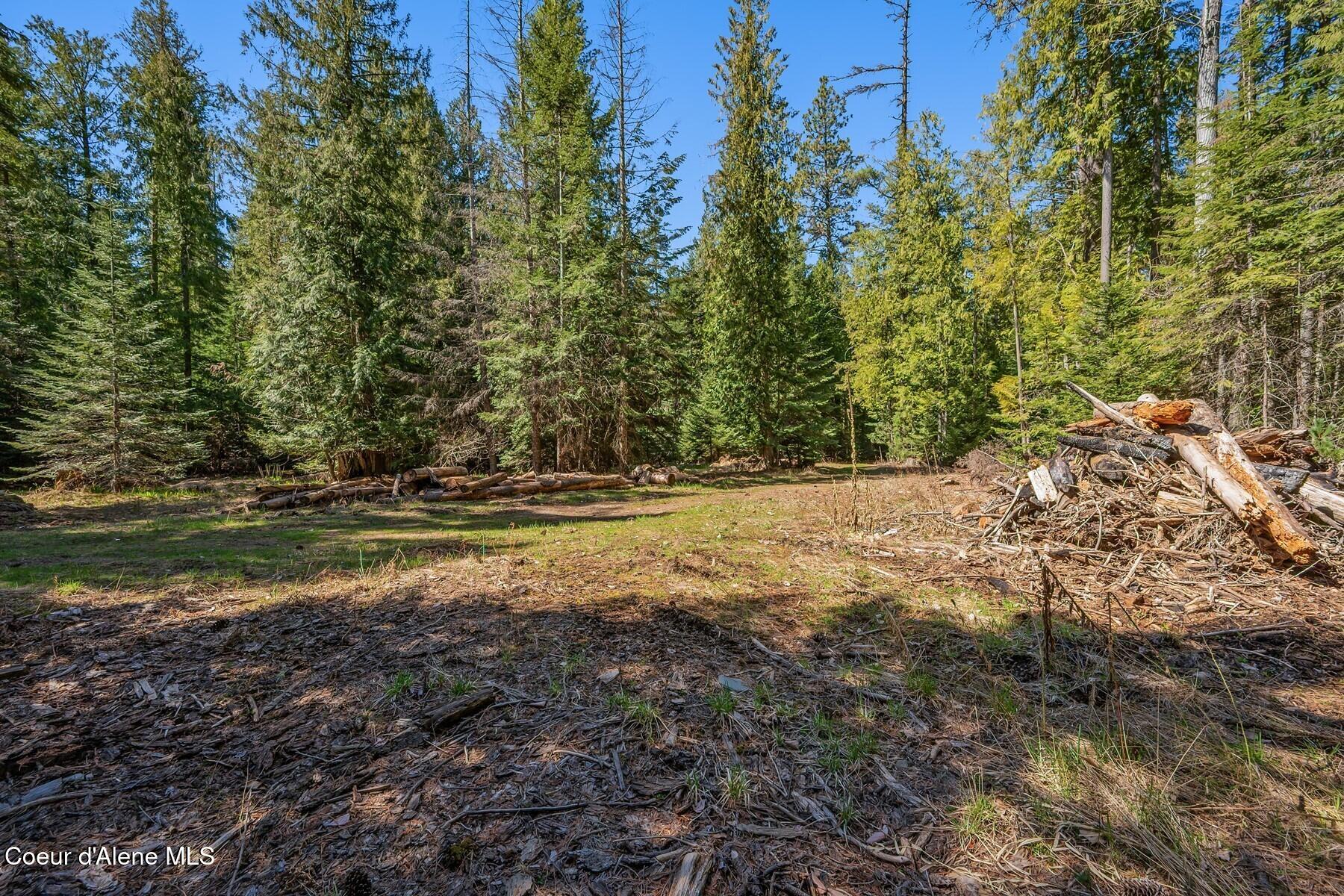 Nna Bottle Bay Road Sagle, ID 83860 - Photo 15 of 41 Listen to the song birds