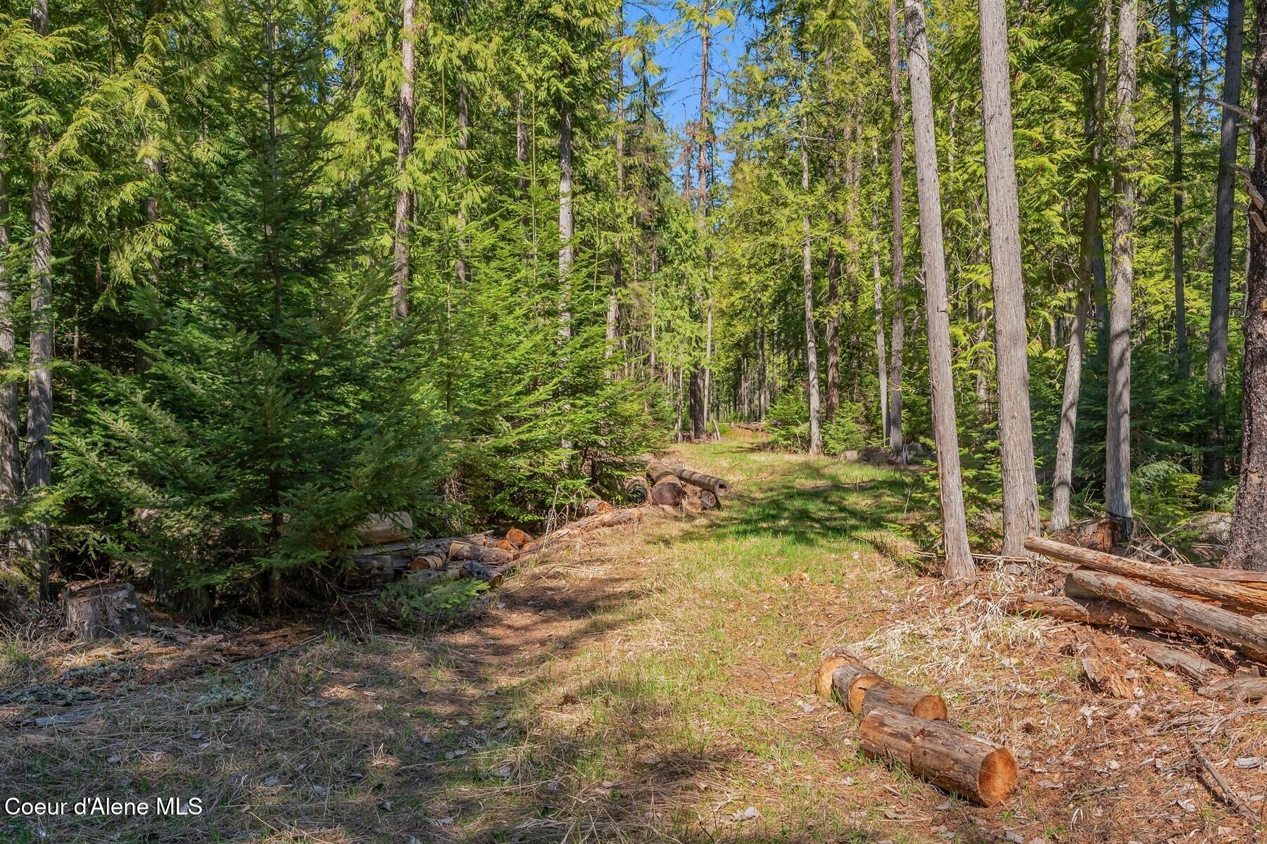 Nna Bottle Bay Road Sagle, ID 83860 - Photo 20 of 41 Area of Good Wells