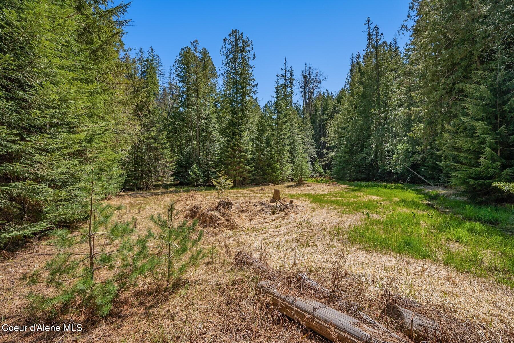 Nna Bottle Bay Road Sagle, ID 83860 - Photo 25 of 41 Creek Bed Area