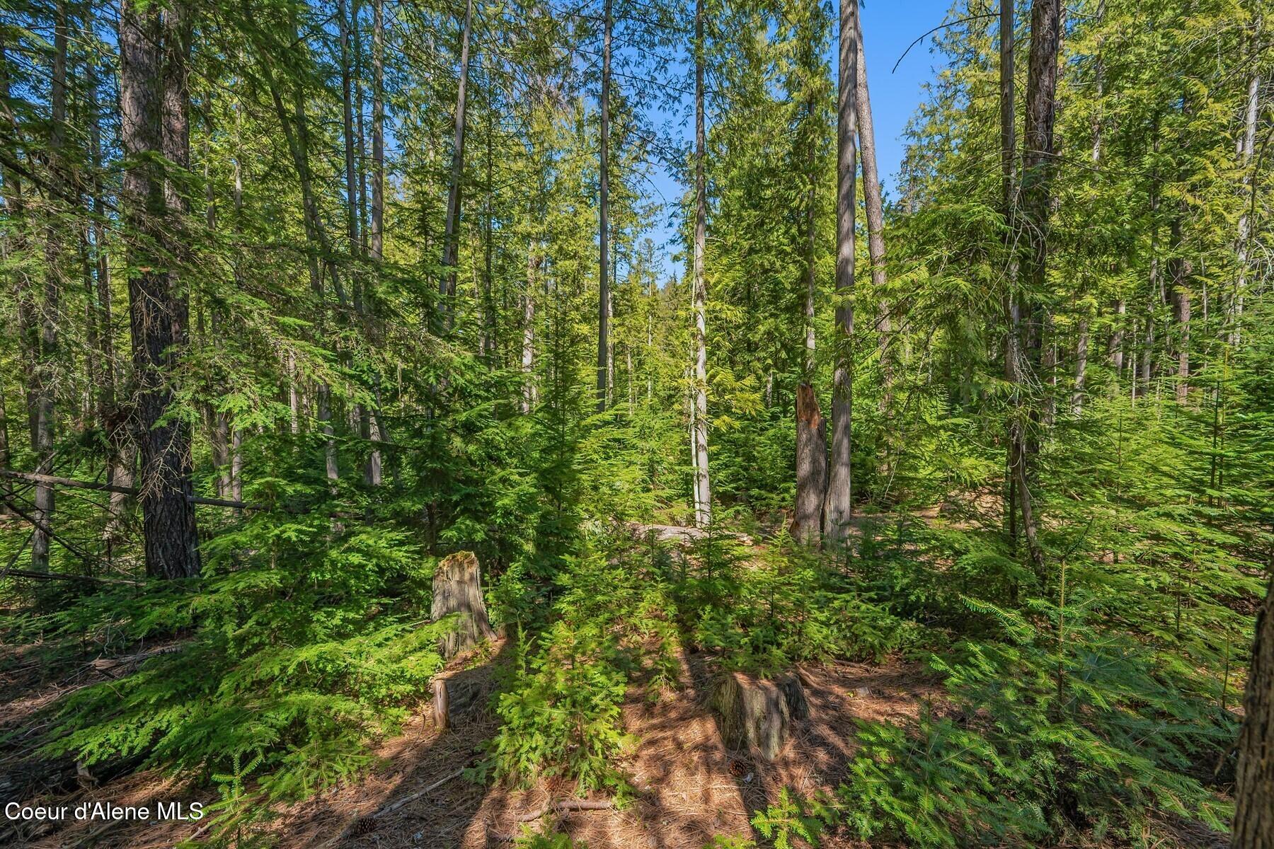 Nna Bottle Bay Road Sagle, ID 83860 - Photo 29 of 41 An Extraordinary Piece of Land