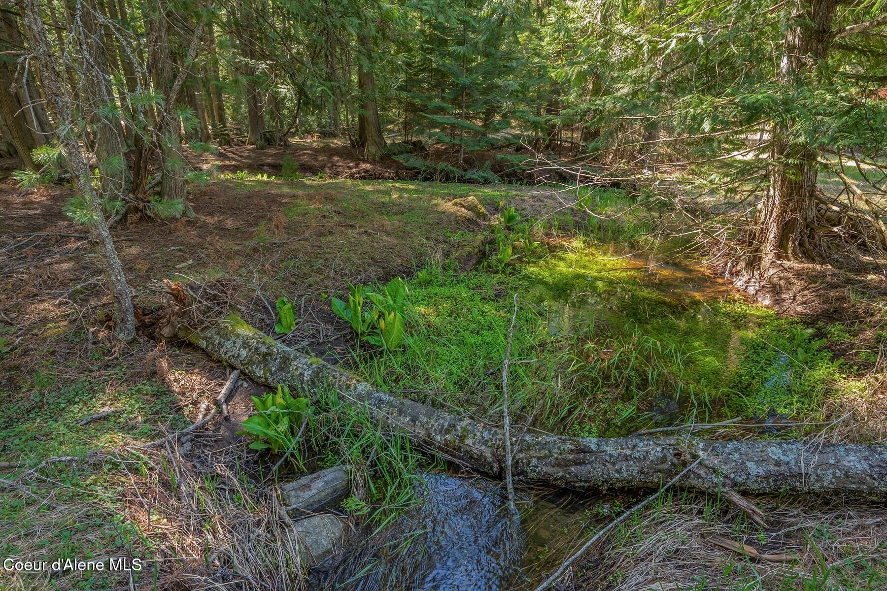 Nna Bottle Bay Road Sagle, ID 83860 - Photo 3 of 41 Serene Setting