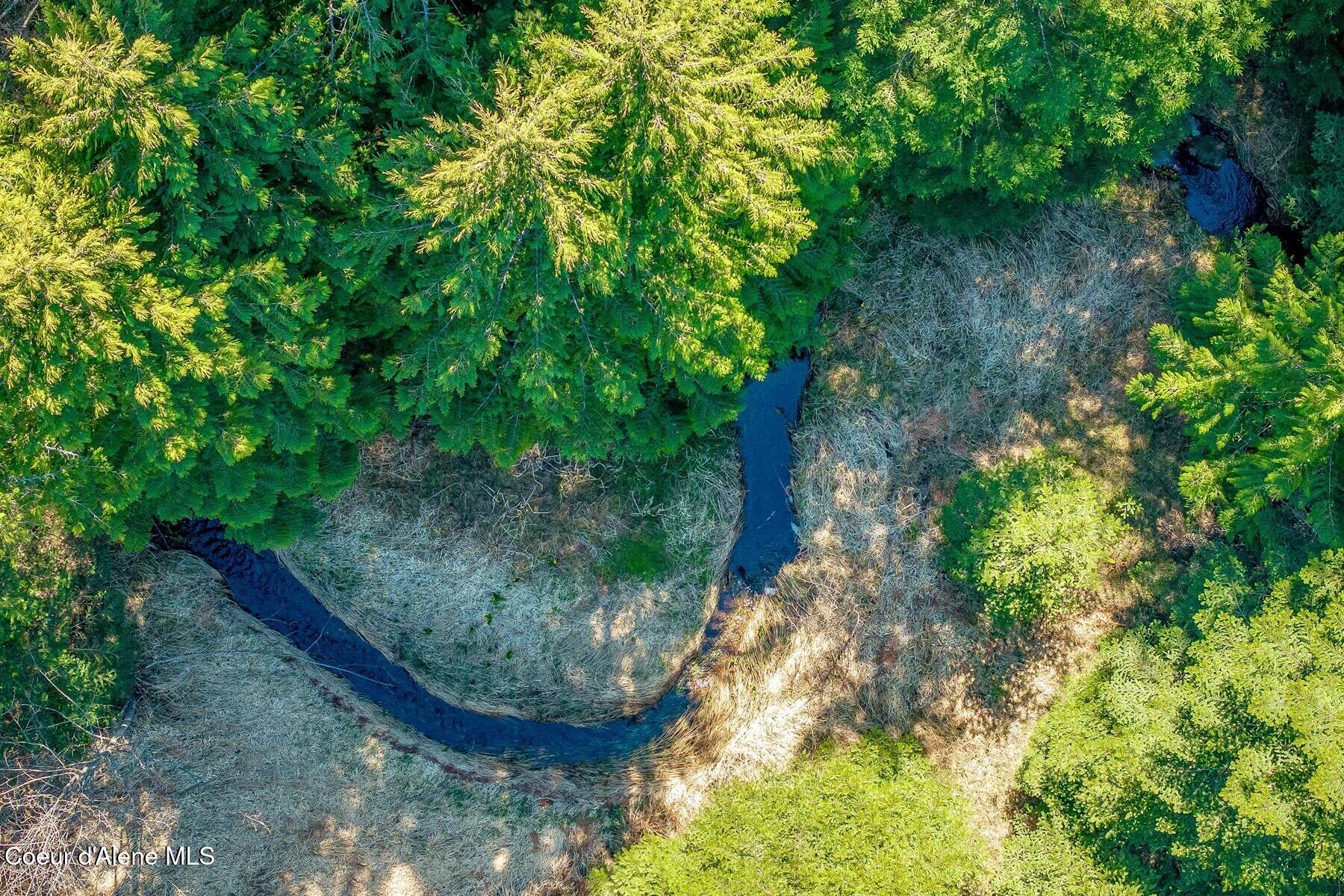 Nna Bottle Bay Road Sagle, ID 83860 - Photo 33 of 41 Full of frogs, turtles.....