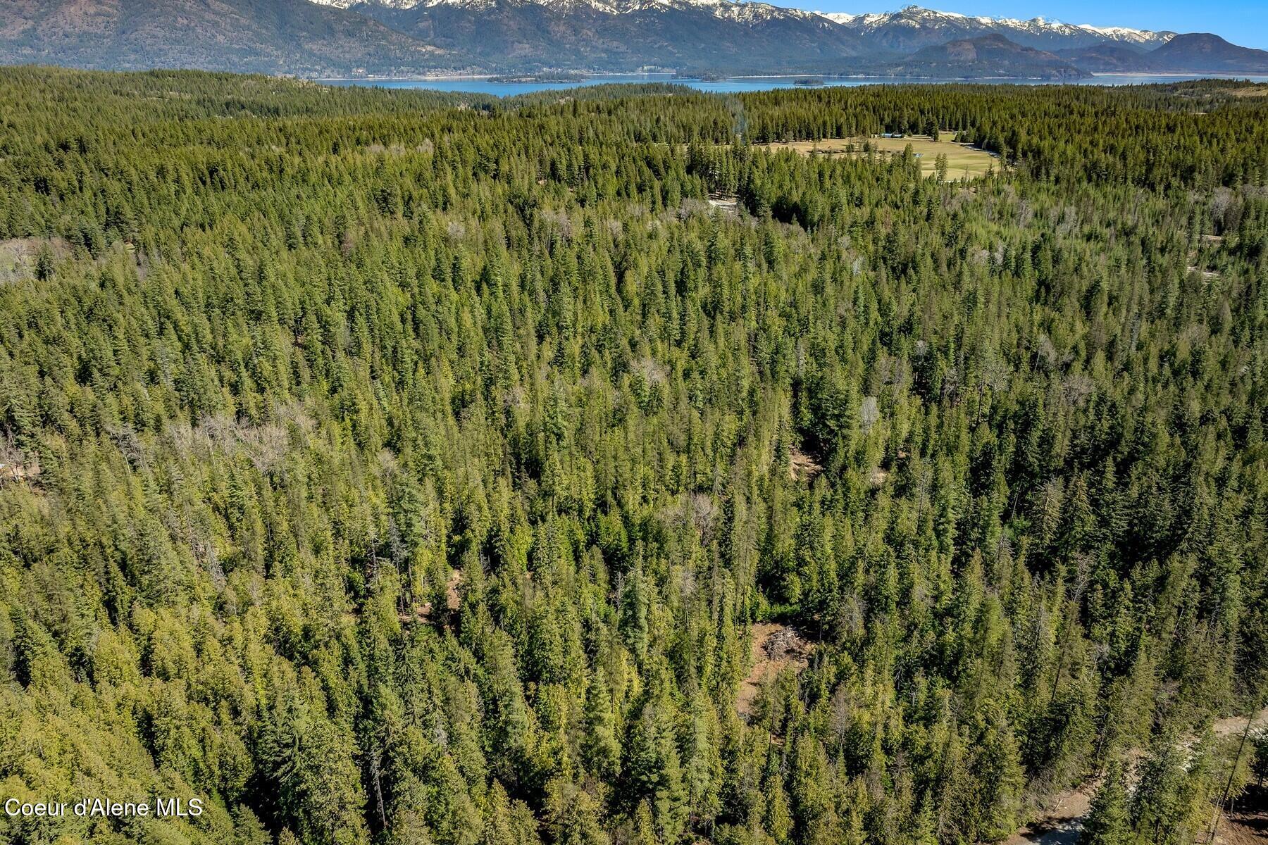 Nna Bottle Bay Road Sagle, ID 83860 - Photo 34 of 41 Cedar, Tamarack, Fir.......