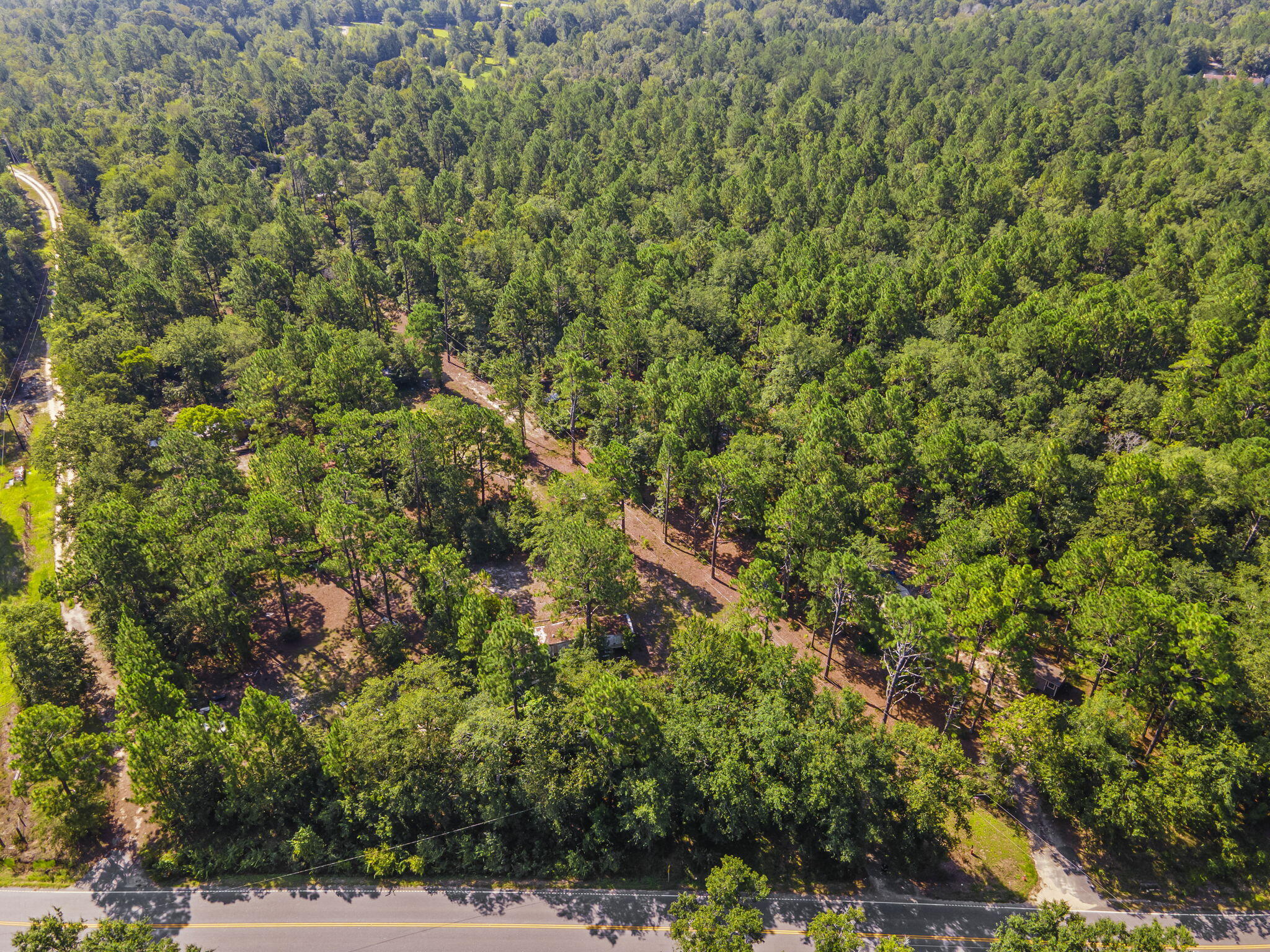 5603 Fish Hatchery Road Pelion, SC 29123 - Photo 12 of 14