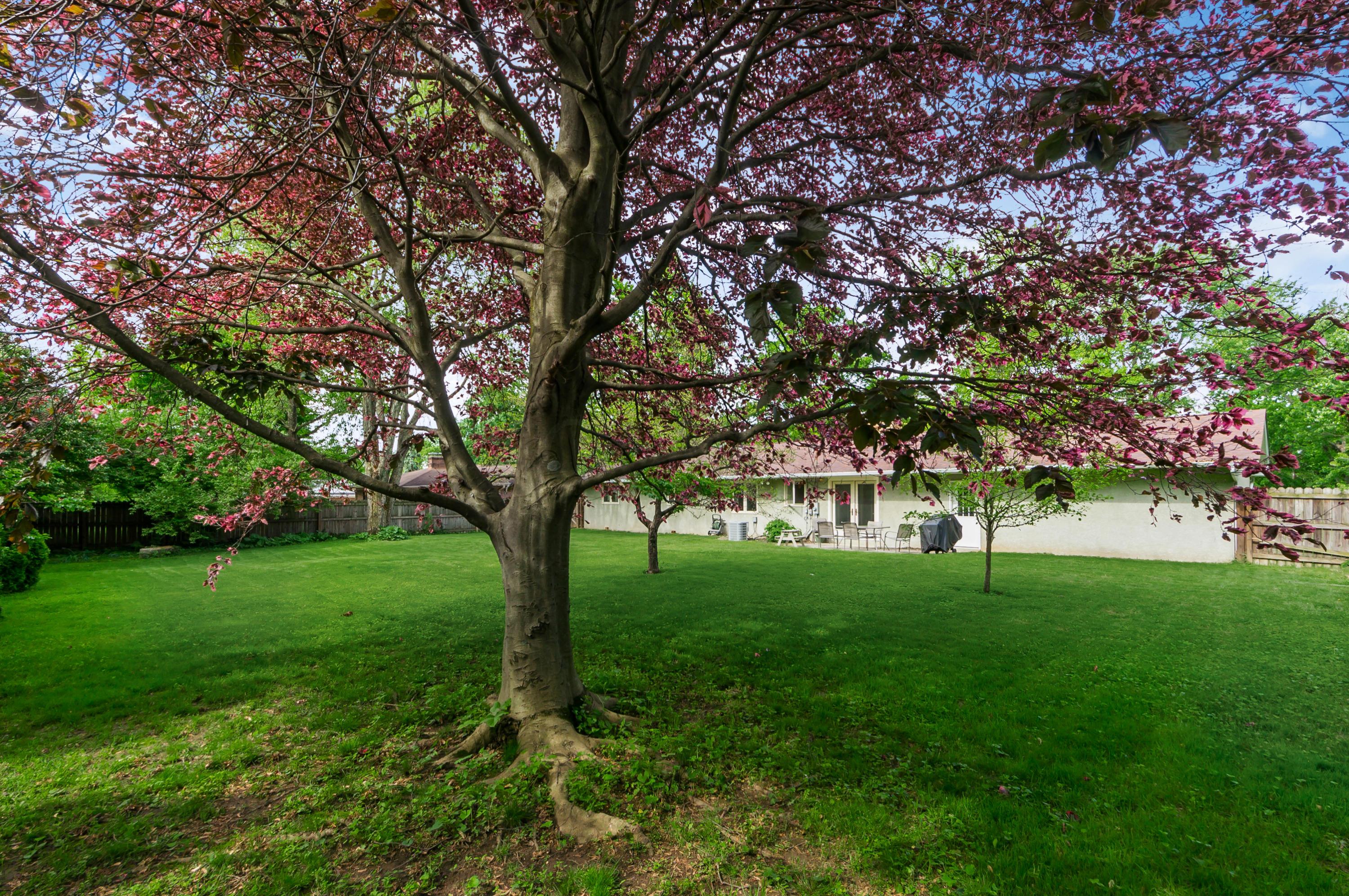 3868 Chevington Road Columbus, OH 43220 - Photo 26 of 32