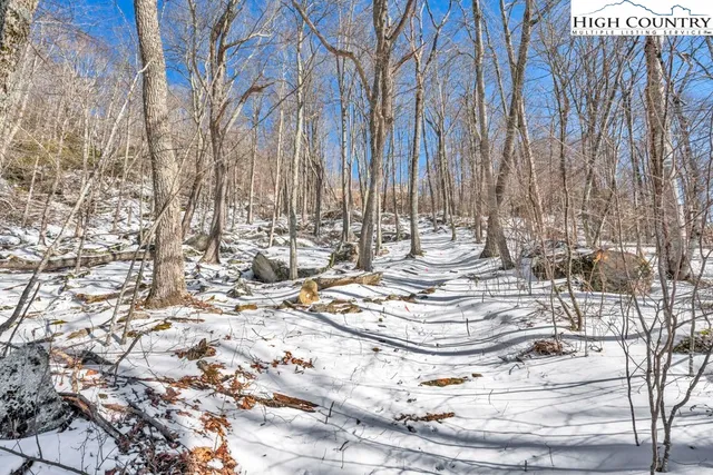 a view of a yard with trees