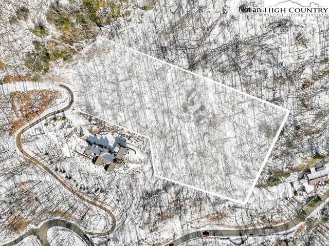 a view of a dry yard with lots of trees