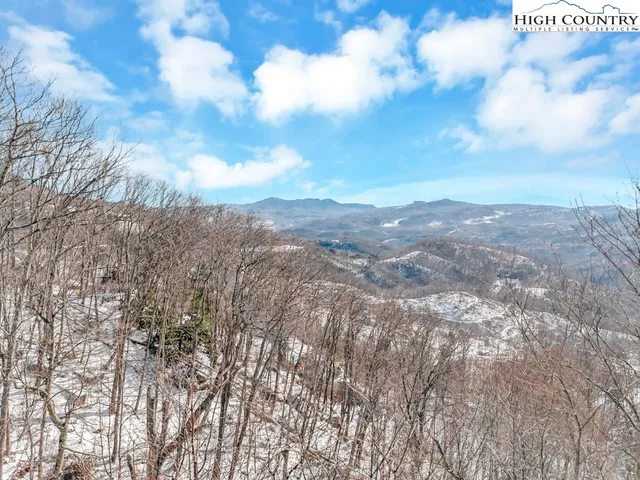 a view of a dry yard with lots of trees