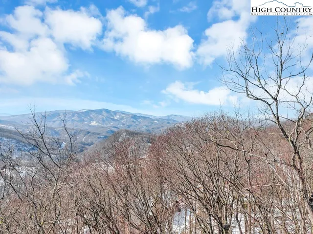 a view of a backyard of the house