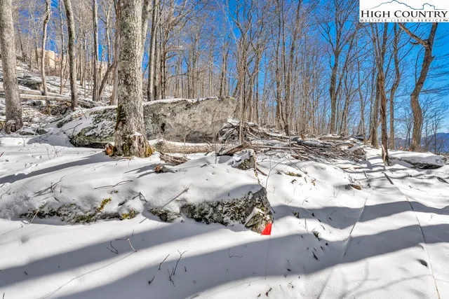 a view of a yard with some trees
