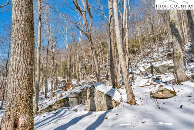 a view of a yard with plants and wooden fence