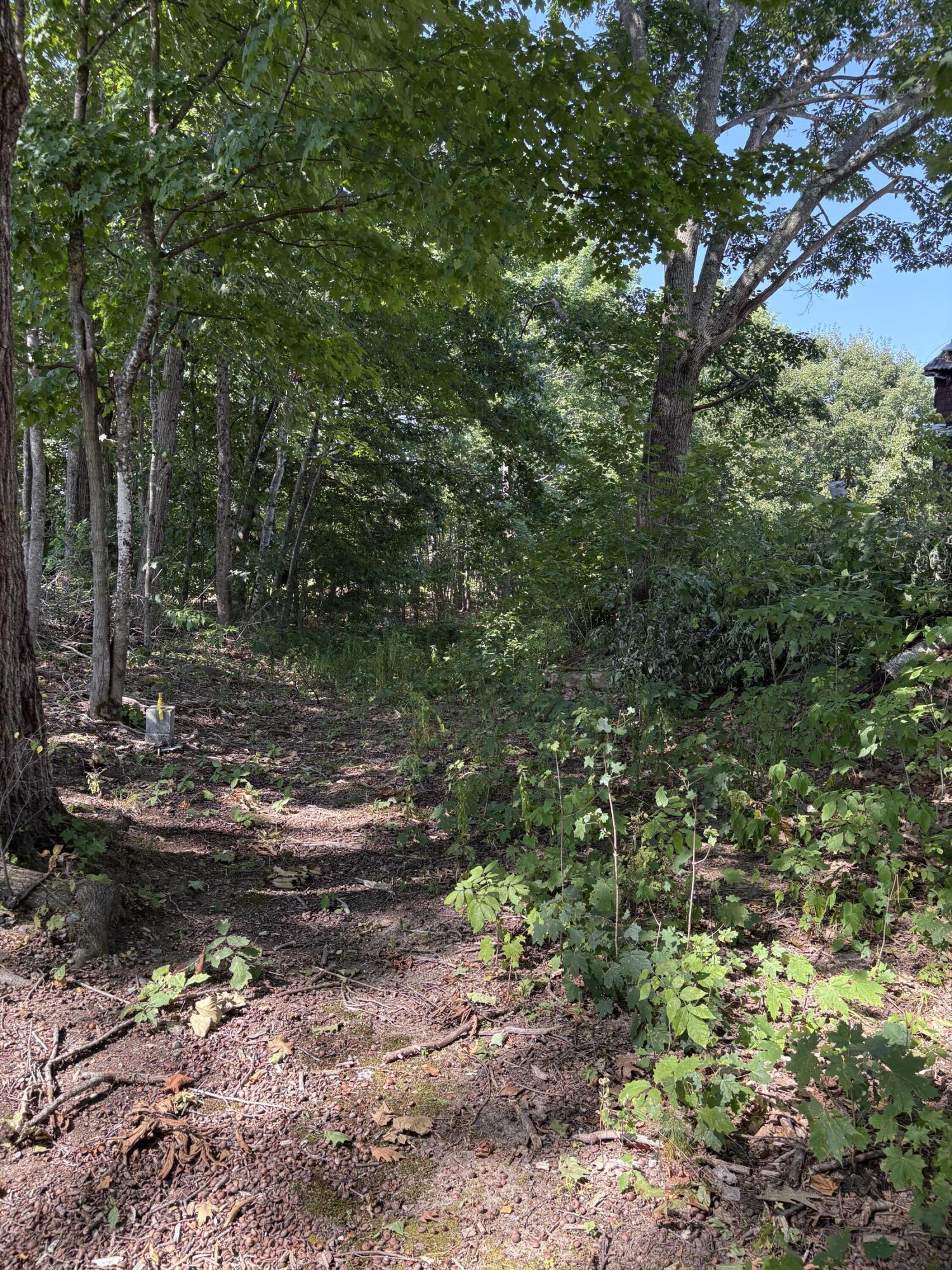 33 Veterans Highway Brooks, ME 04921 - Photo 39 of 47