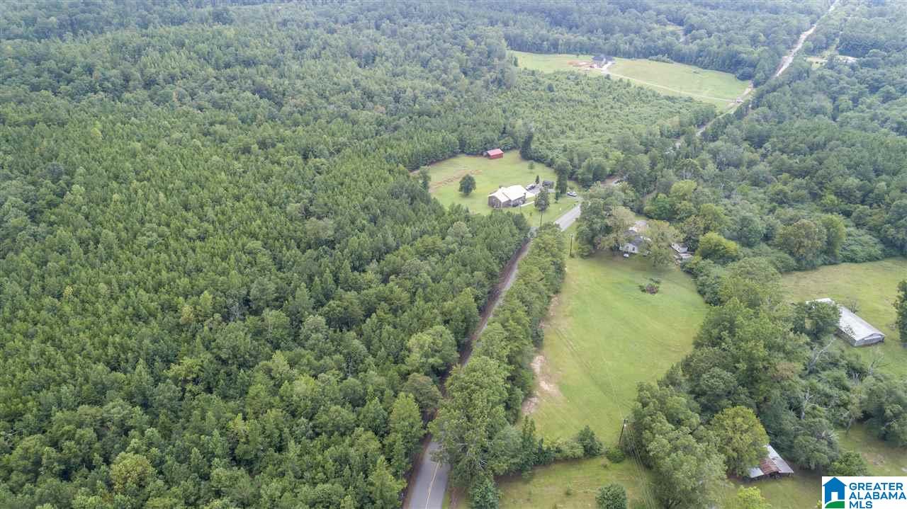 14183 Milldale Road Brookwood, AL 35444 - Photo 45 of 47