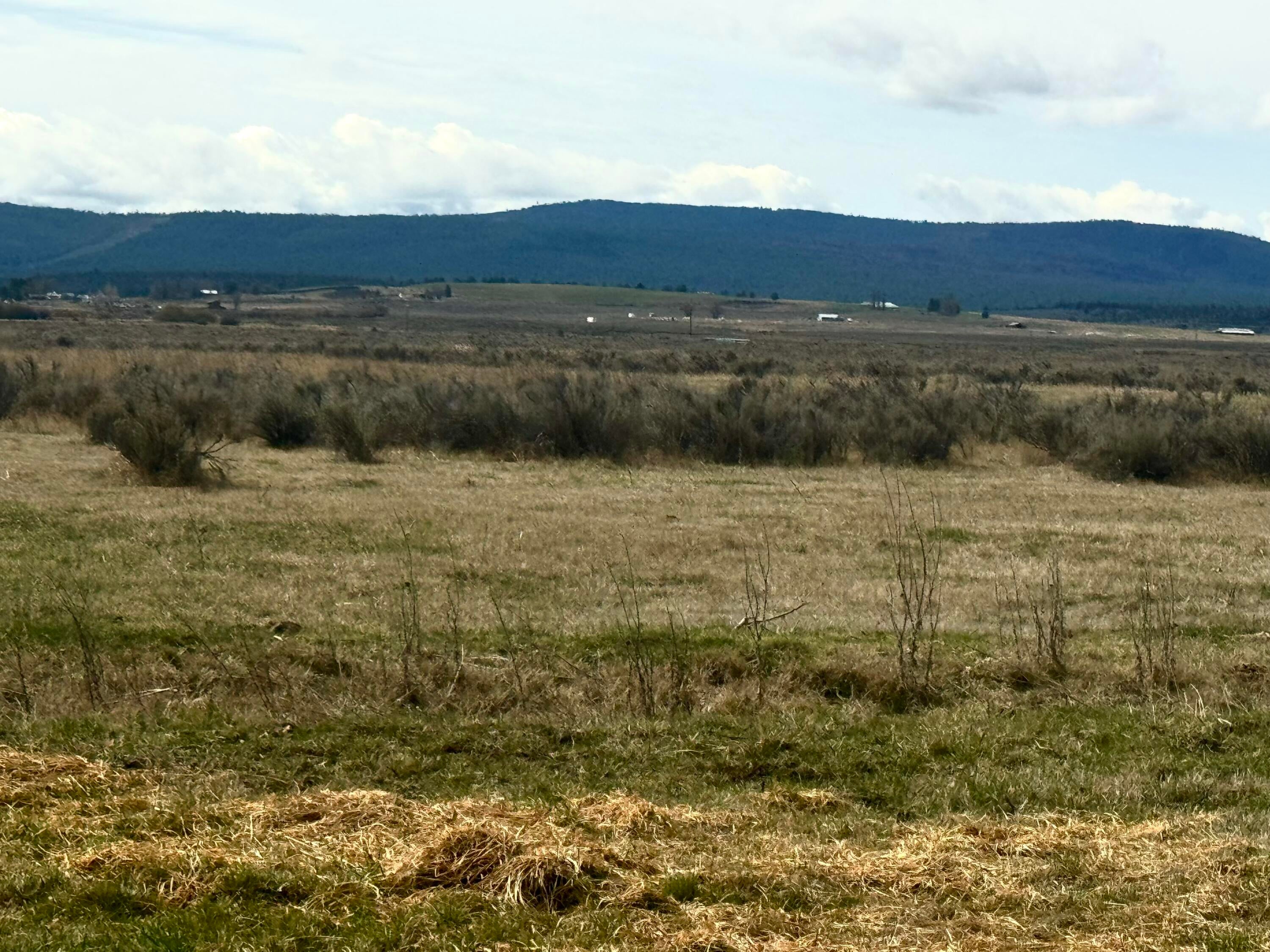 27111 Godowa Springs Road Beatty, OR 97621 - Photo 14 of 24 Beatty