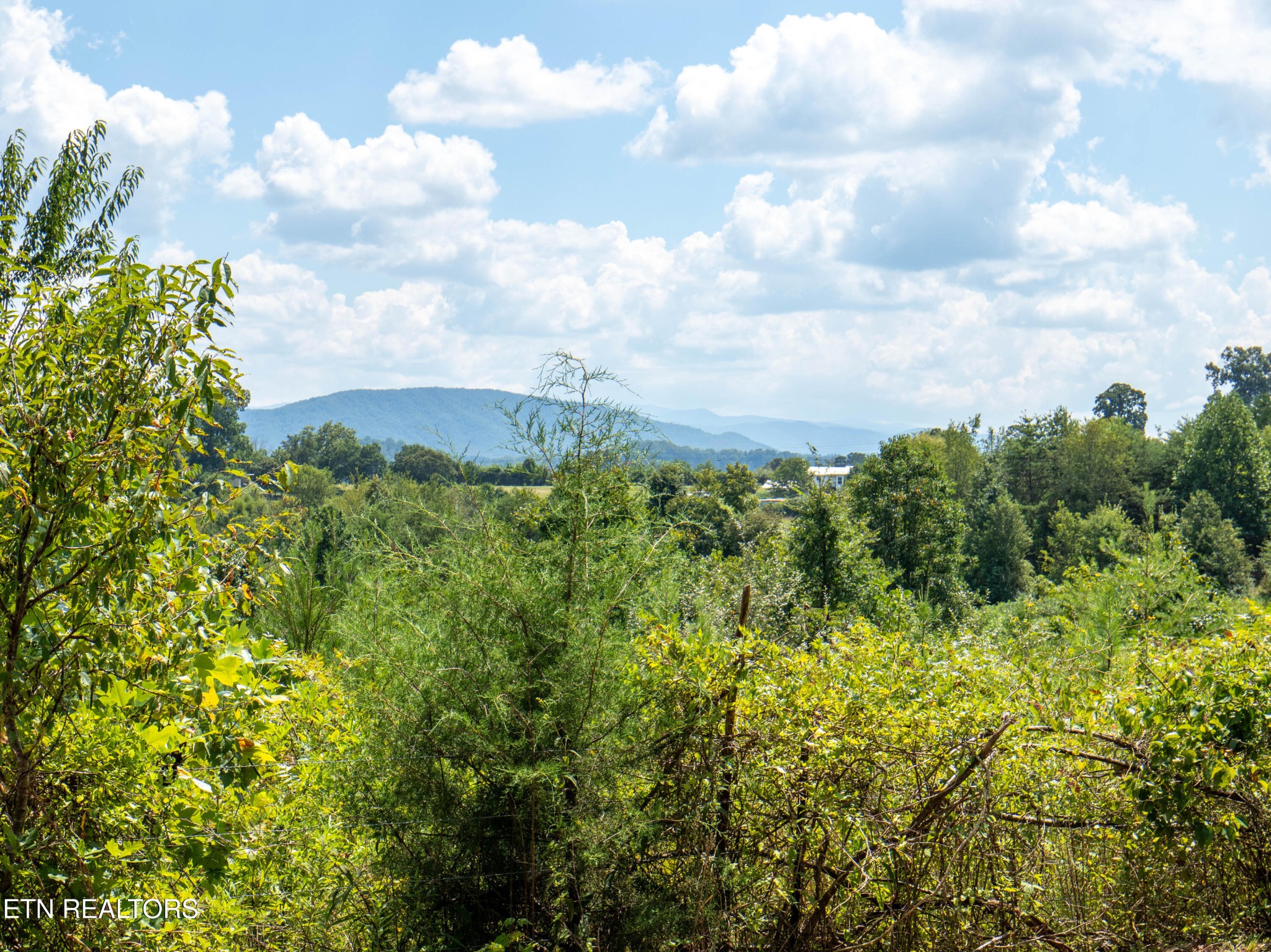 0 Hutton Ridge Road Maryville, TN 37801 - Photo 22 of 24 Gallery Image 22