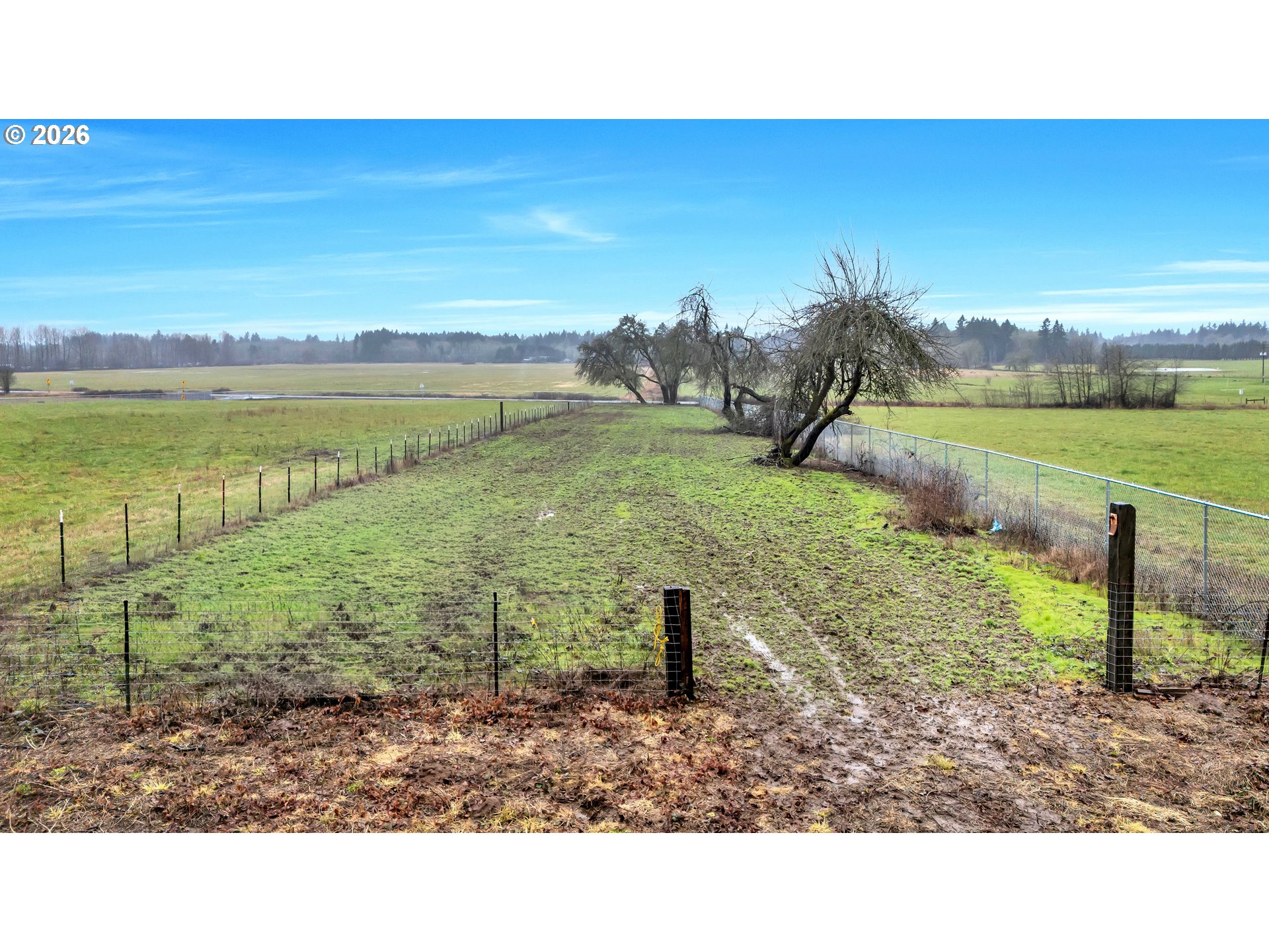 0 Northeast Ward Road Brush Prairie, WA 98606 - Photo 16 of 16 a backyard of a house with a yard