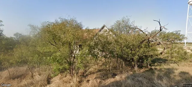 a view of a yard with a tree