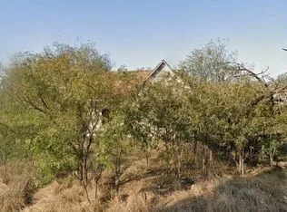 a view of a bunch of trees