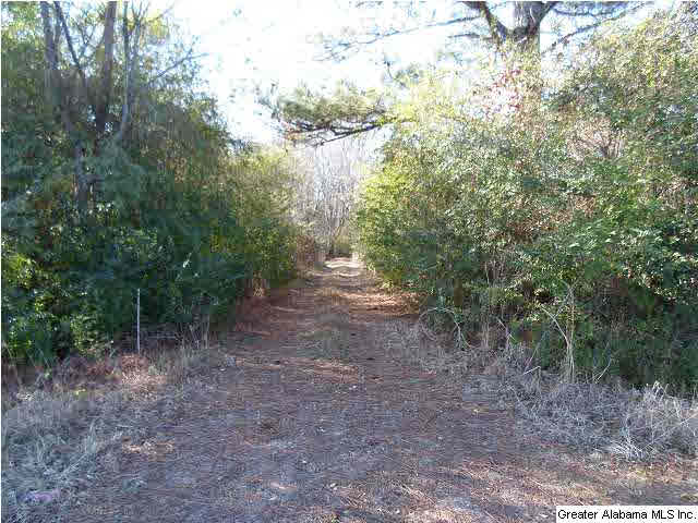 961 Airport Road, Unit 1 Eastaboga, AL 36260 - Photo 2 of 6
