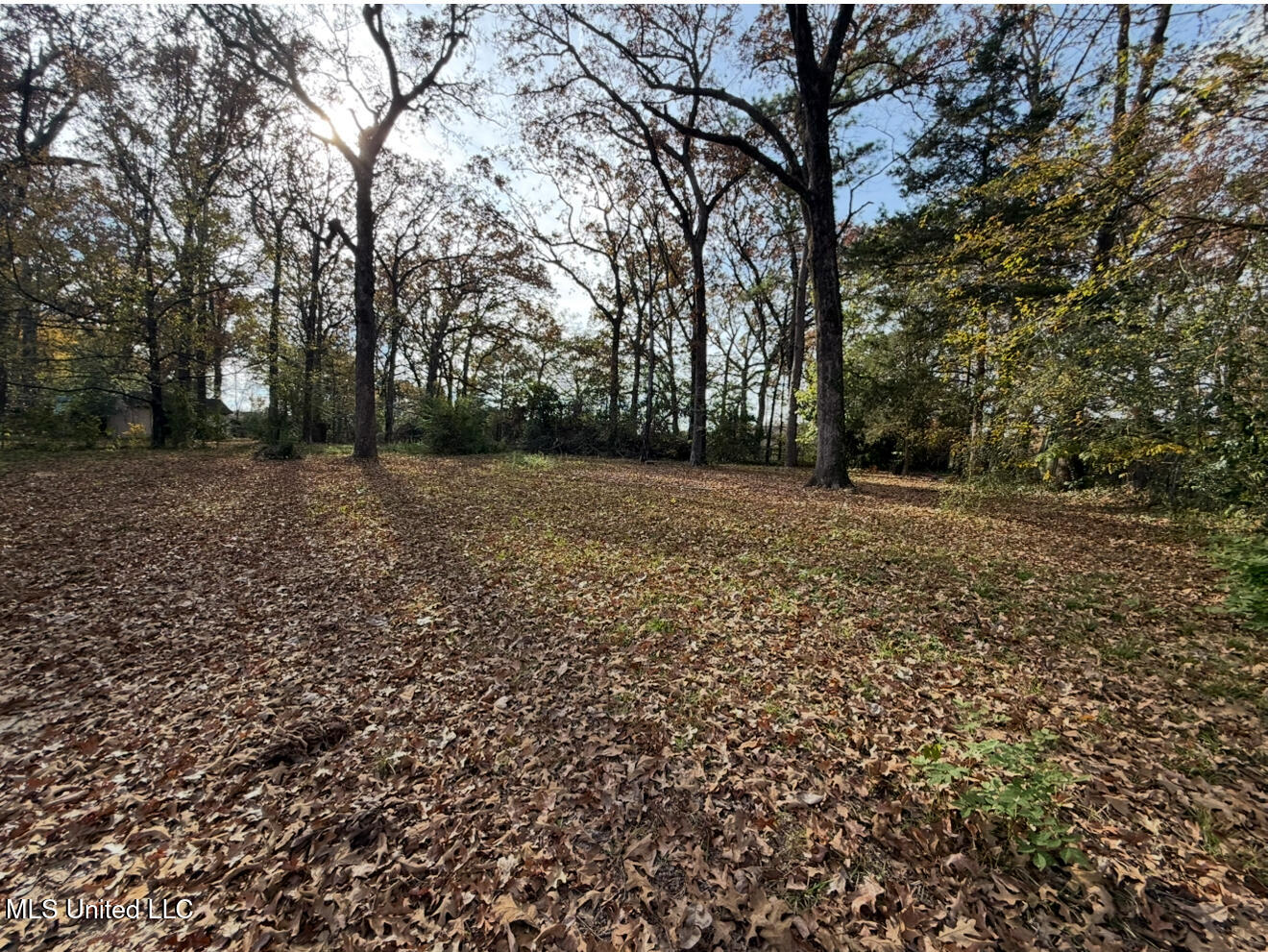 2871 Woodside Drive Jackson, MS 39212 - Photo 20 of 20 IMG_9498