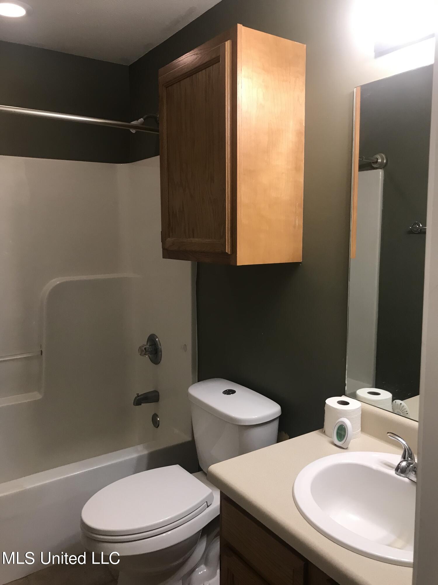 321 Evergreen Way Brandon, MS 39047 - Photo 9 of 17 321 Hall Bath