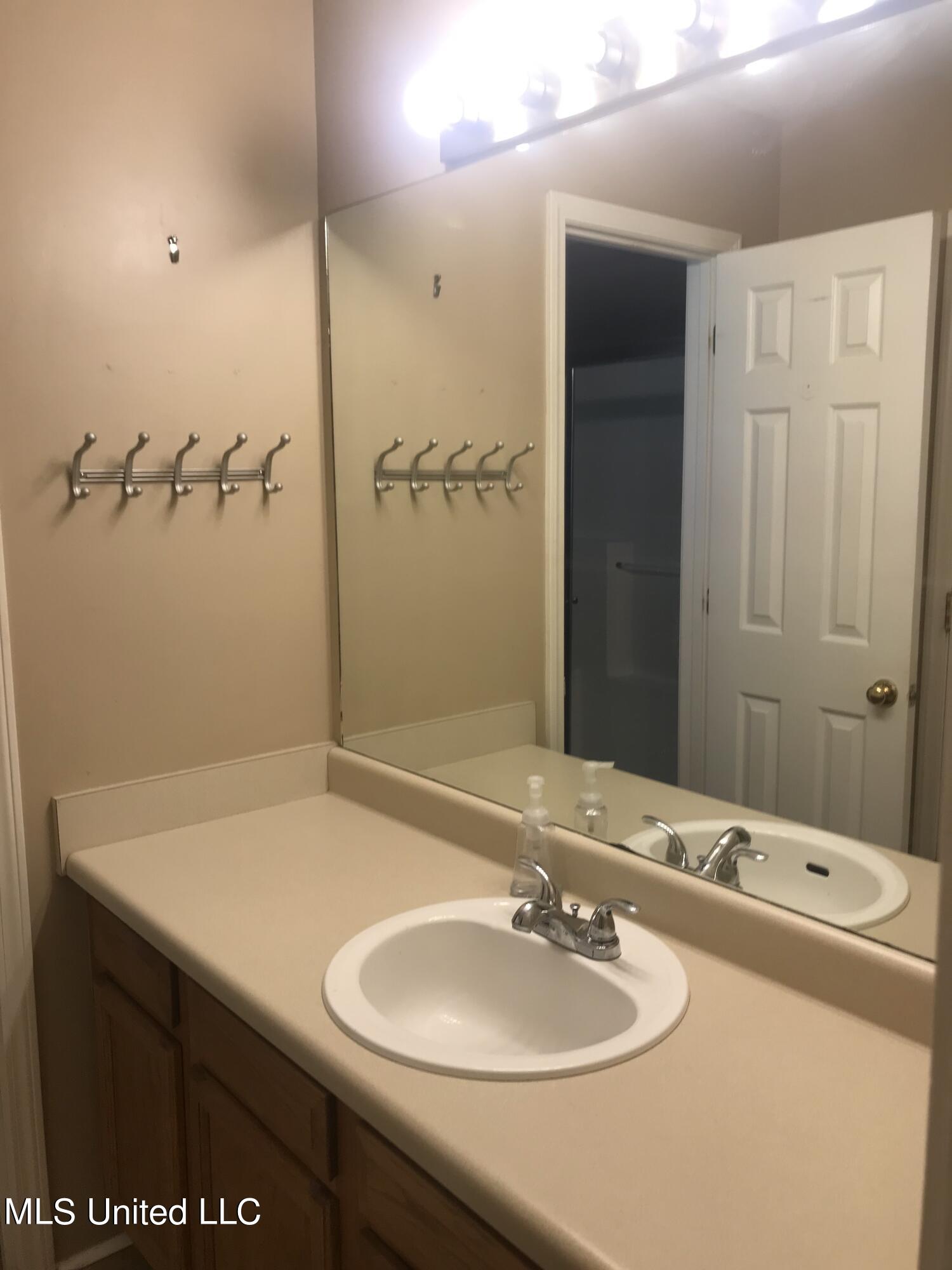 321 Evergreen Way Brandon, MS 39047 - Photo 10 of 17 321 Master bath