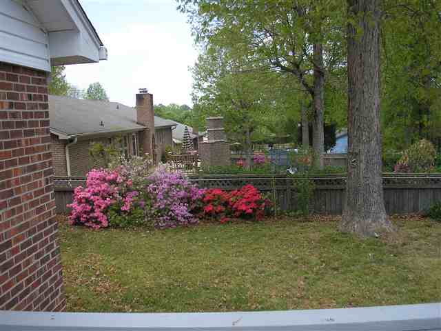 206 Pryor Road Taylors, SC 29687 - Photo 7 of 8 Gallery Image 7