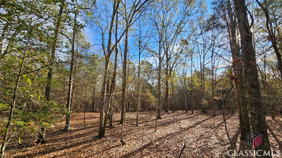 0 Nowhere Road Athens, GA 30601 - Photo 1 of 30