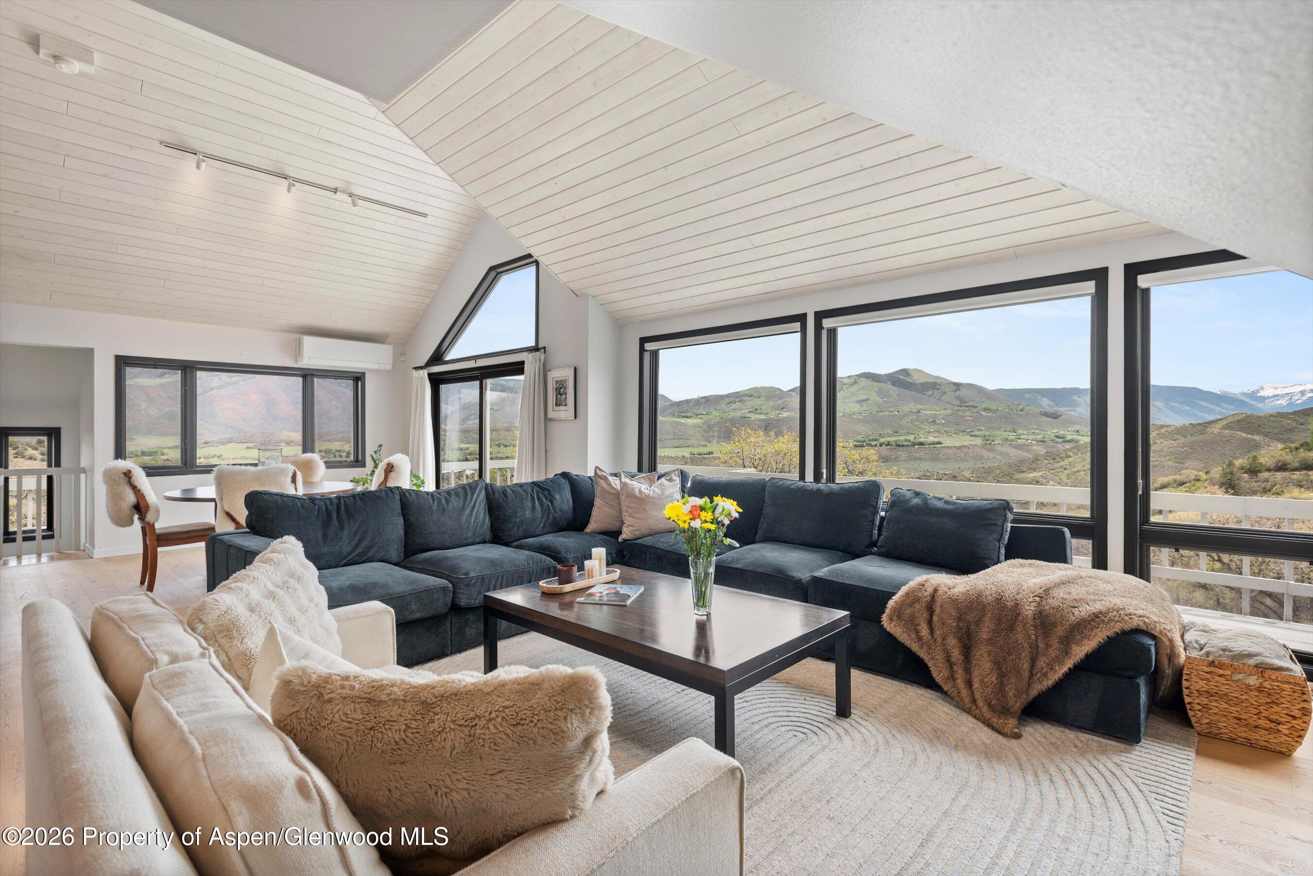 450 Solar Way Aspen, CO 81611 - Photo 3 of 64 Living Room