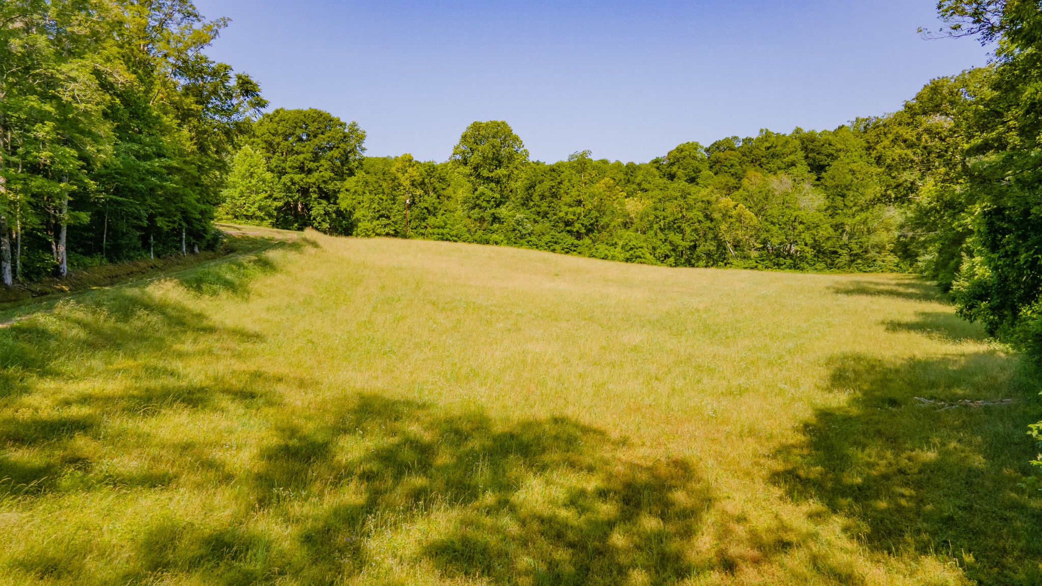 7390 South Harpeth Road Franklin, TN 37064 - Photo 13 of 13 a view of beach and swimming pool from a yard