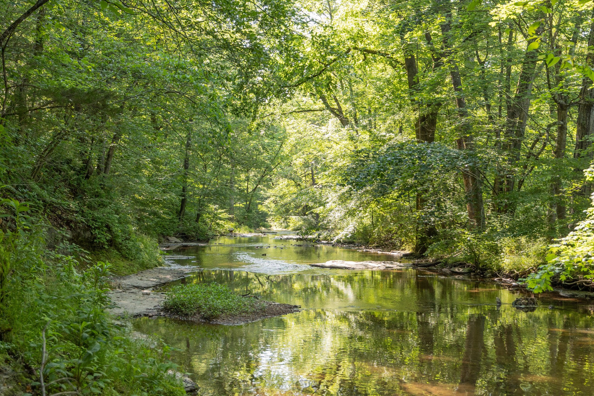 7390 South Harpeth Road Franklin, TN 37064 - Photo 2 of 13 a view of lake