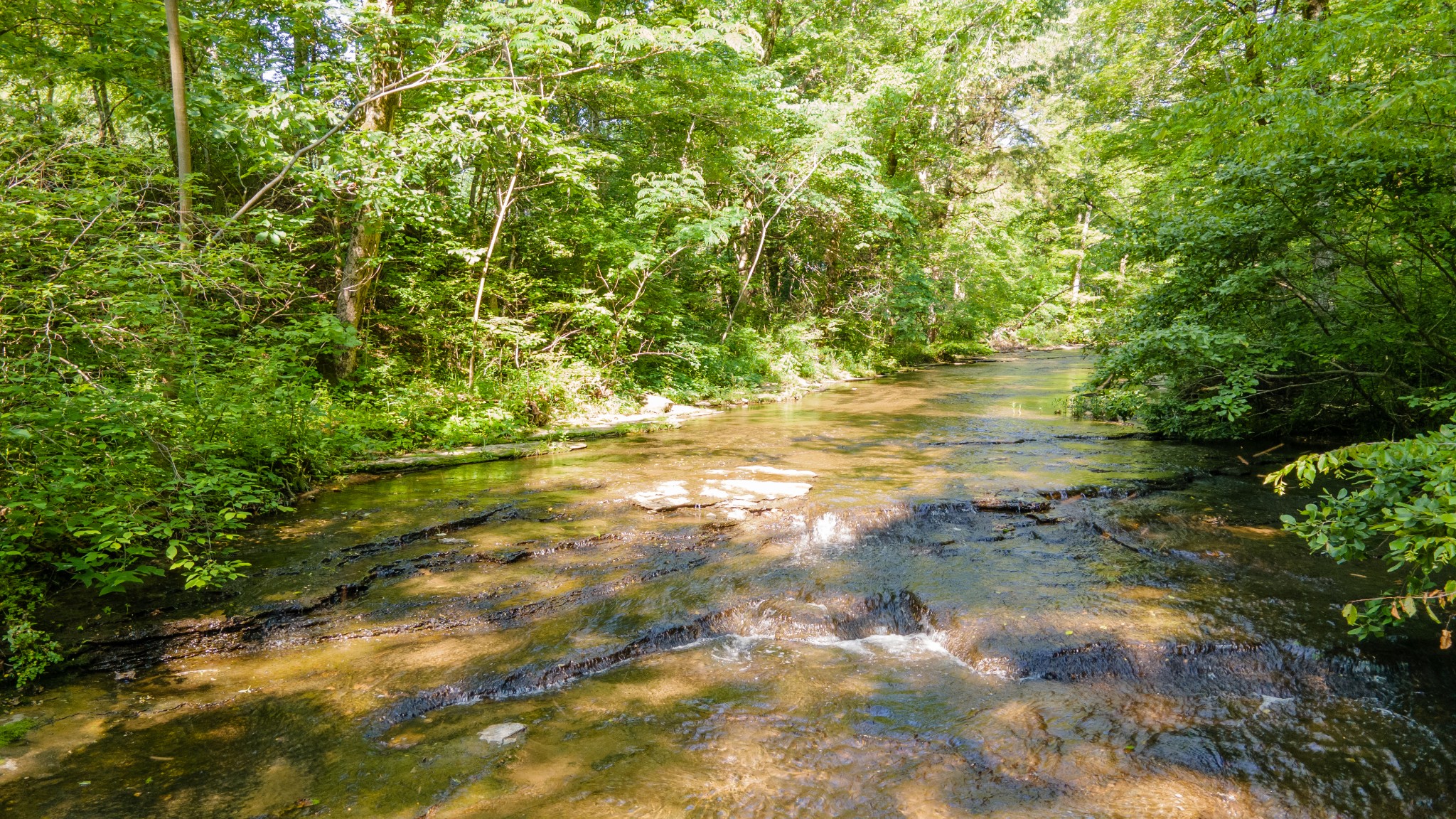 7390 South Harpeth Road Franklin, TN 37064 - Photo 5 of 13 a view of a lake