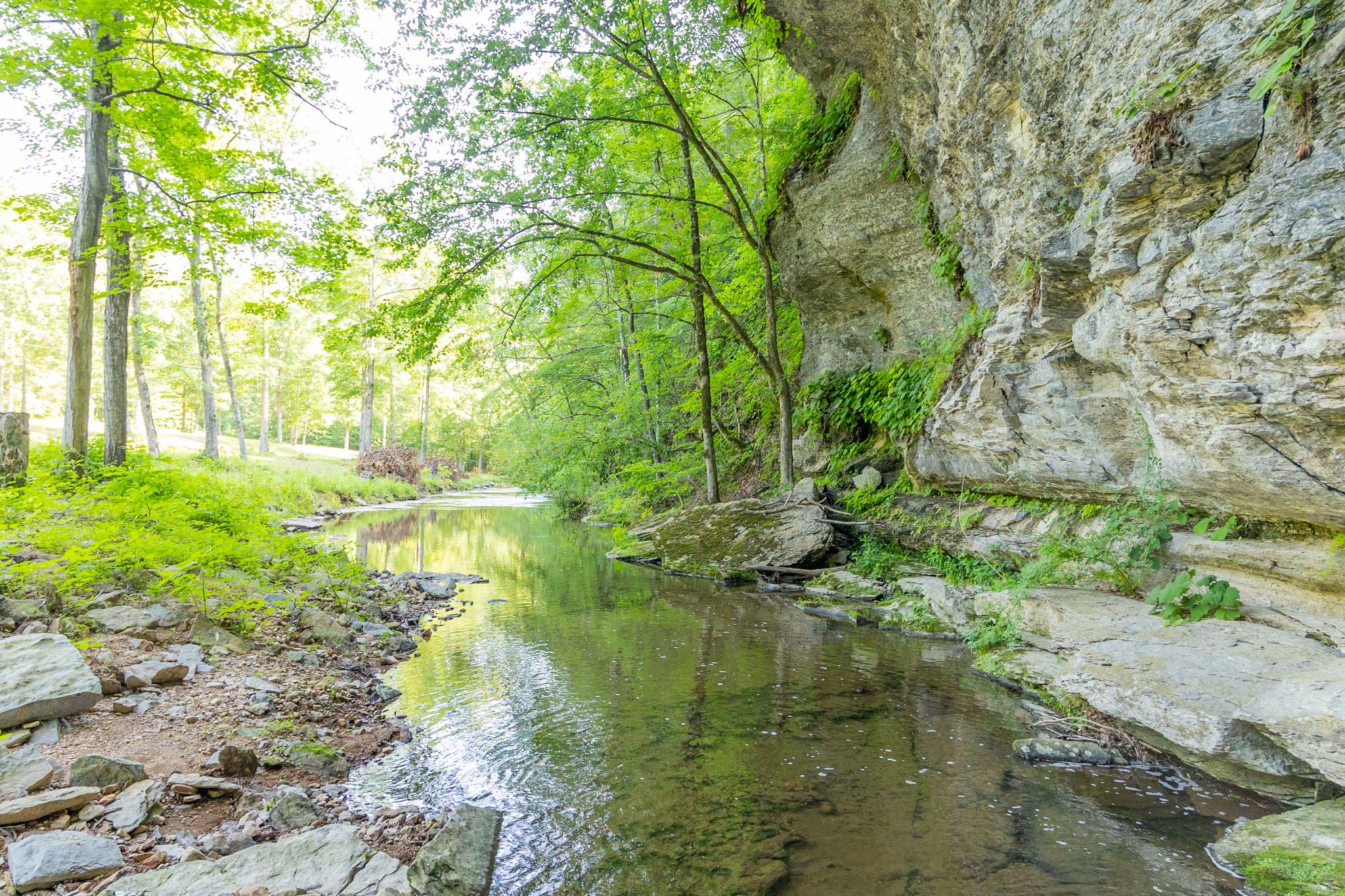 7390 South Harpeth Road Franklin, TN 37064 - Photo 7 of 13 a view of lake with green space