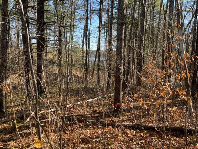2 Mariner's Way Bath, ME 04530 - Photo 27 of 47 IMG_4609