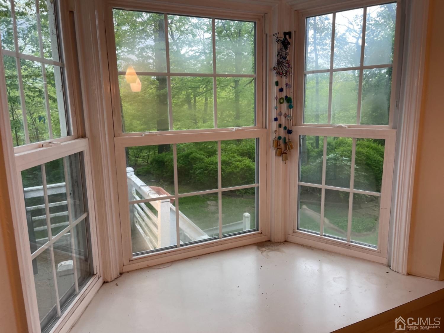3 Lansing Place New Brunswick, NJ 08901 - Photo 12 of 29 a view of a garden from a windows
