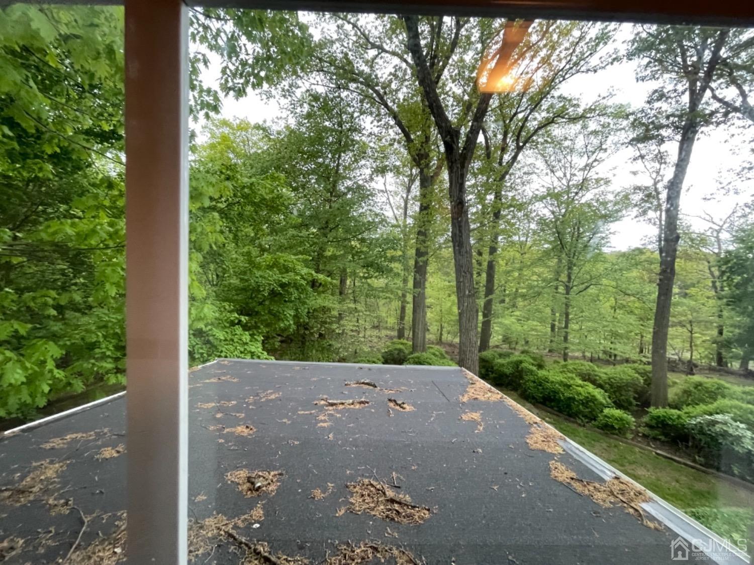 3 Lansing Place New Brunswick, NJ 08901 - Photo 6 of 29 a view of a road with trees in the background