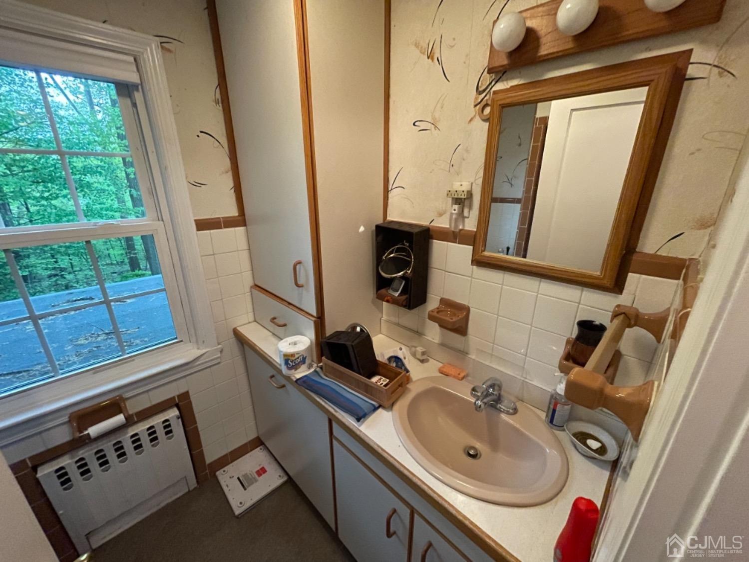 3 Lansing Place New Brunswick, NJ 08901 - Photo 8 of 29 a bathroom with a sink and a mirror