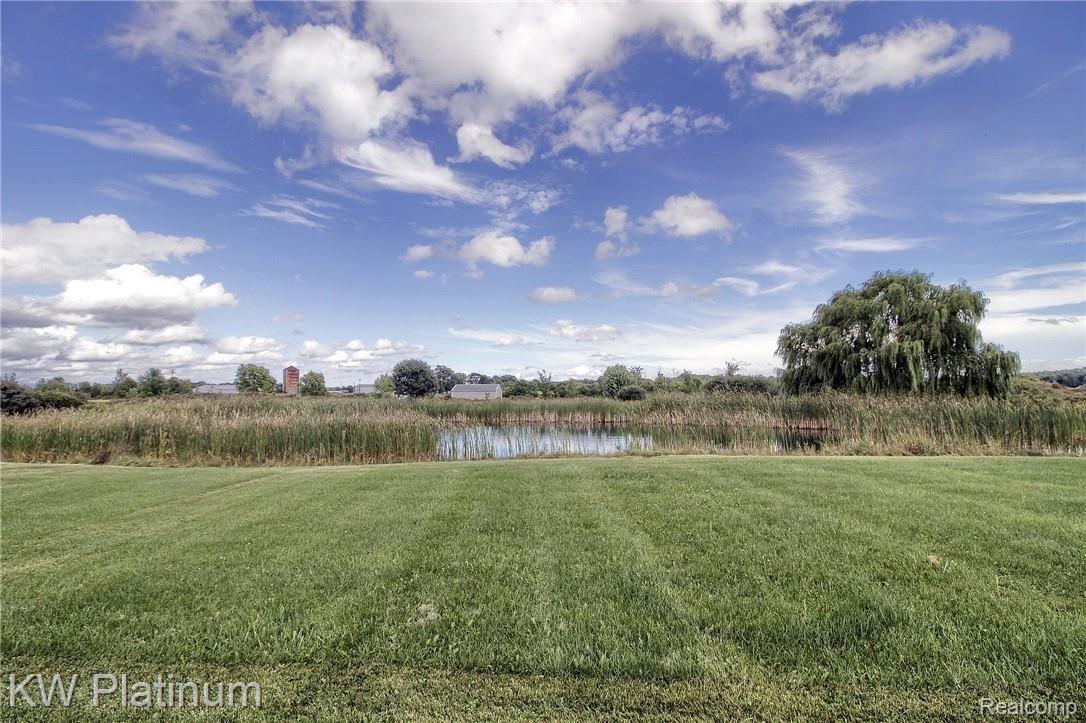 10693 Lambs Road Memphis, MI 48041 - Photo 37 of 43 Pond.jpg