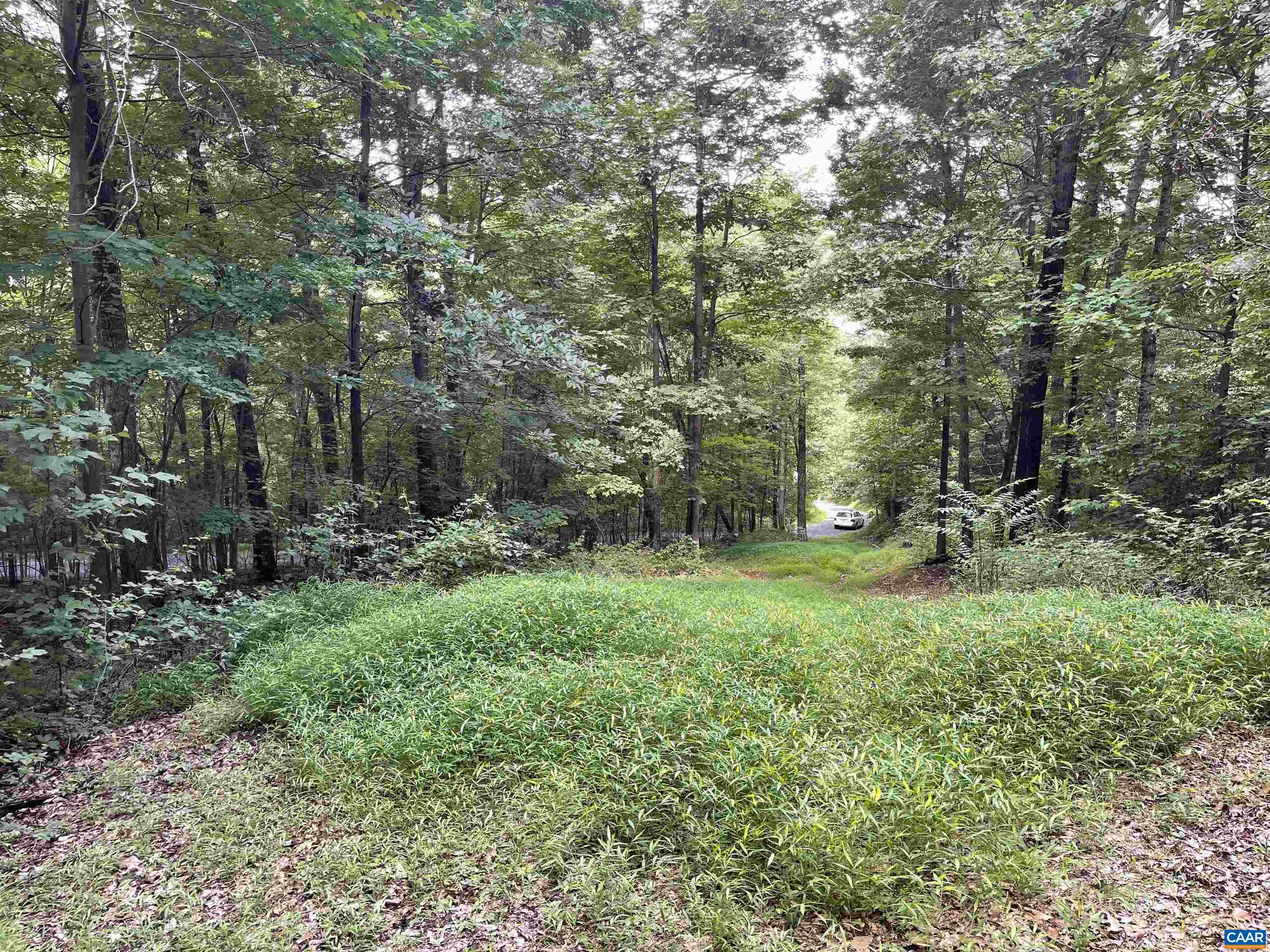 0 Bunker Hill Road Mount Solon, VA 22843 - Photo 19 of 25 Gallery Image 19