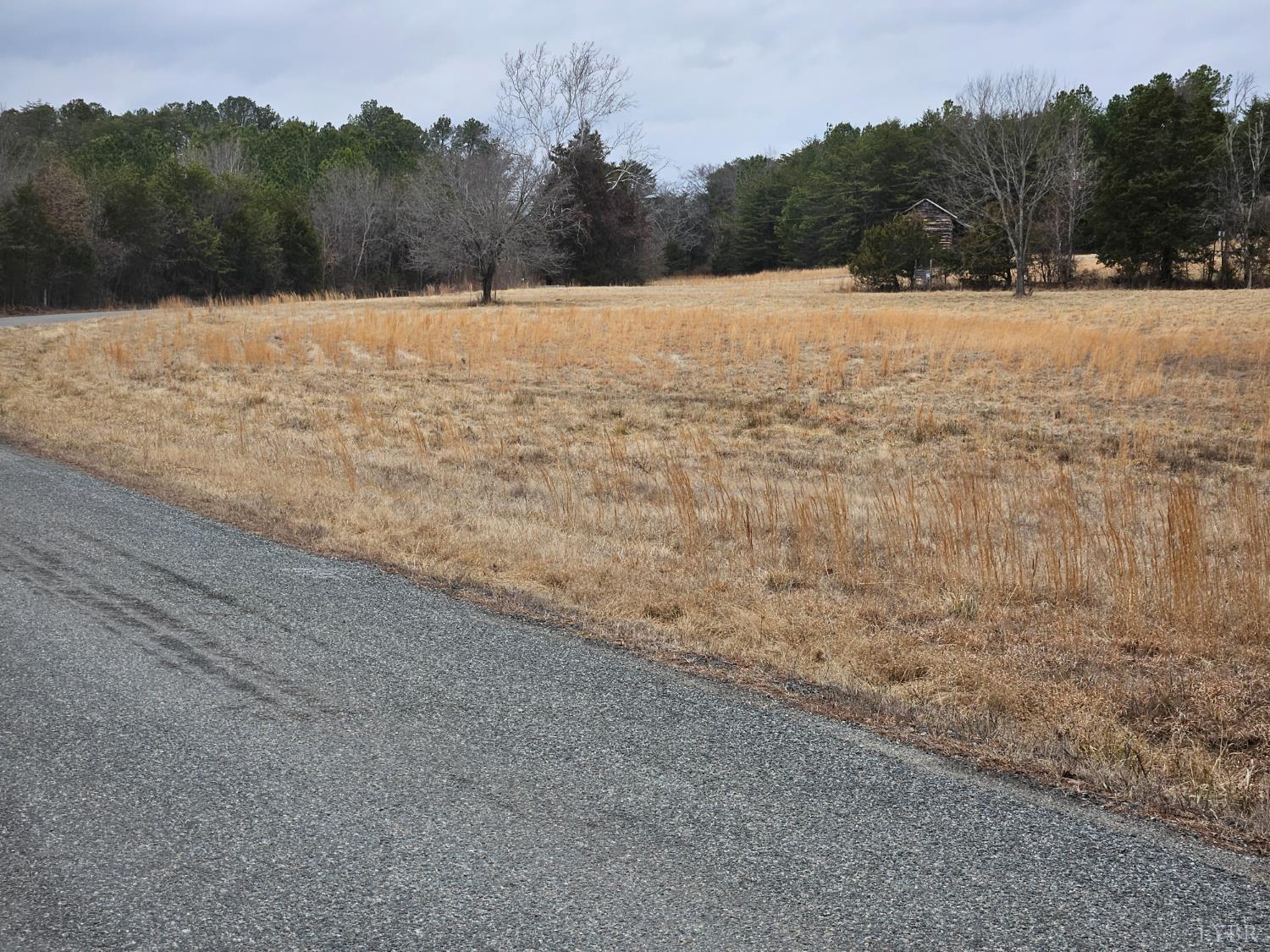 0 Fowler Trail South Boston, VA 24592 - Photo 1 of 2 a view of a yard