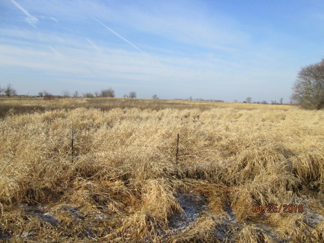 33-acres West Douglas Road Brodhead, WI 53520 - Photo 2 of 2 a view of an ocean