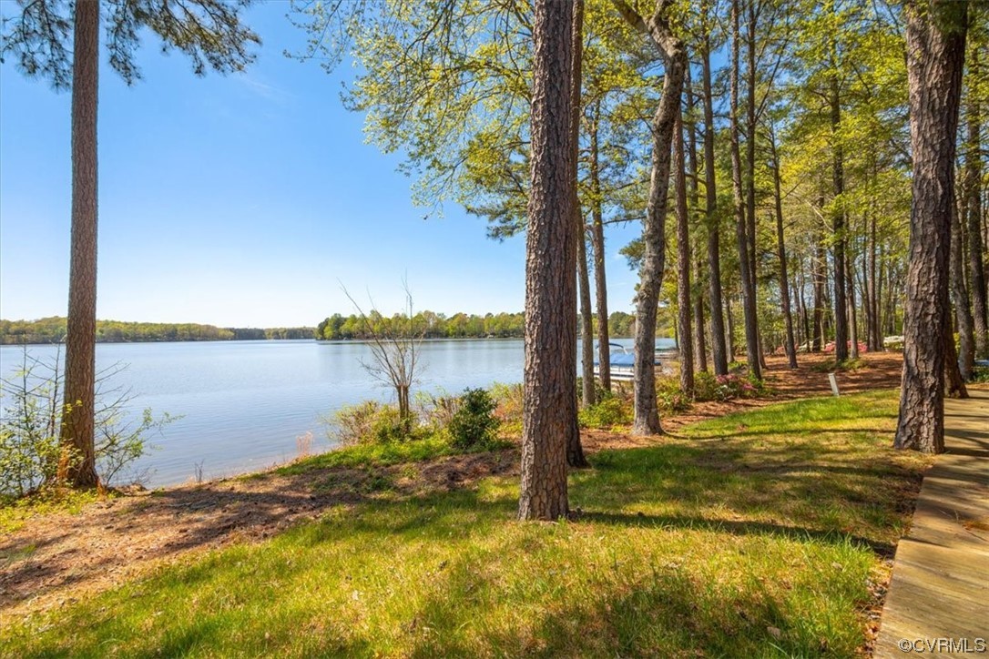 14324 Regatta Pointe Road Midlothian, VA 23112 - Photo 40 of 50 a view of a lake with a tree