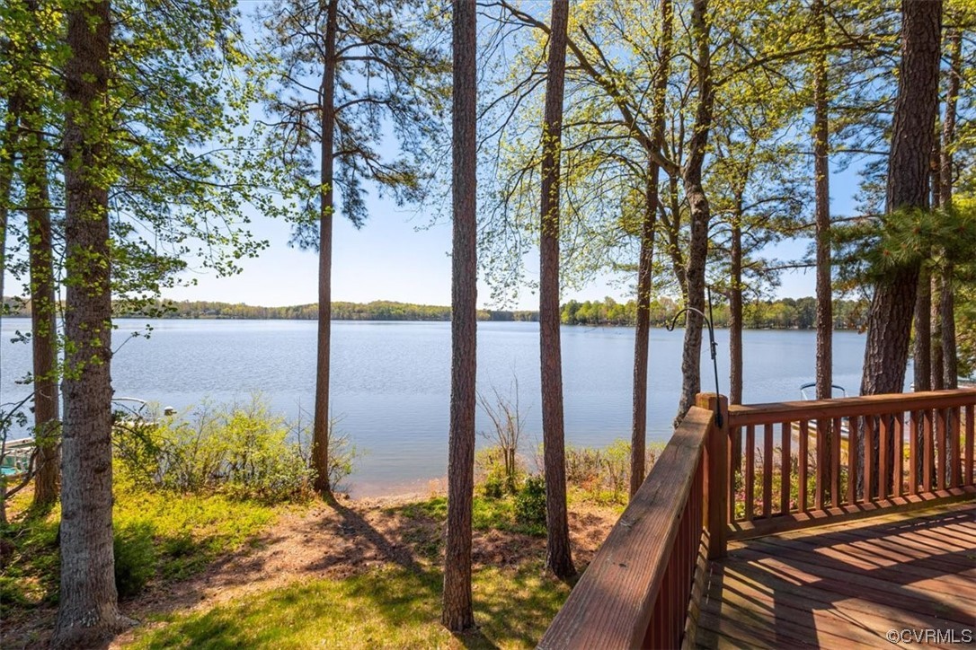 14324 Regatta Pointe Road Midlothian, VA 23112 - Photo 6 of 50 a view of a balcony with an ocean from a large tree