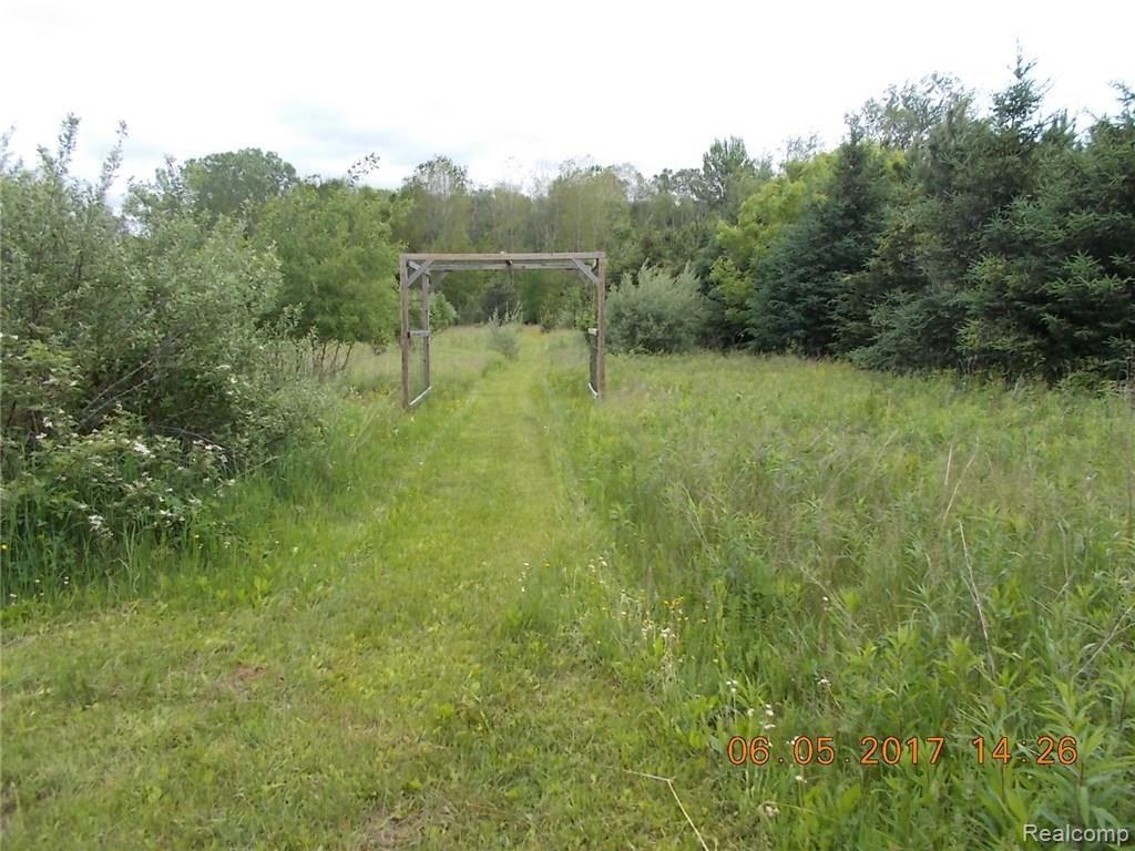 3233 Phillips Road Kingston, MI 48741 - Photo 5 of 9